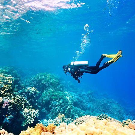 Dormio Bonaire Village 外观 照片
