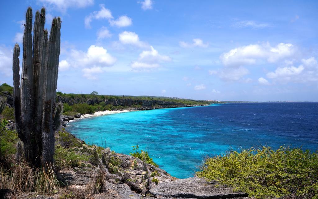 Dormio Bonaire Village 客房 照片
